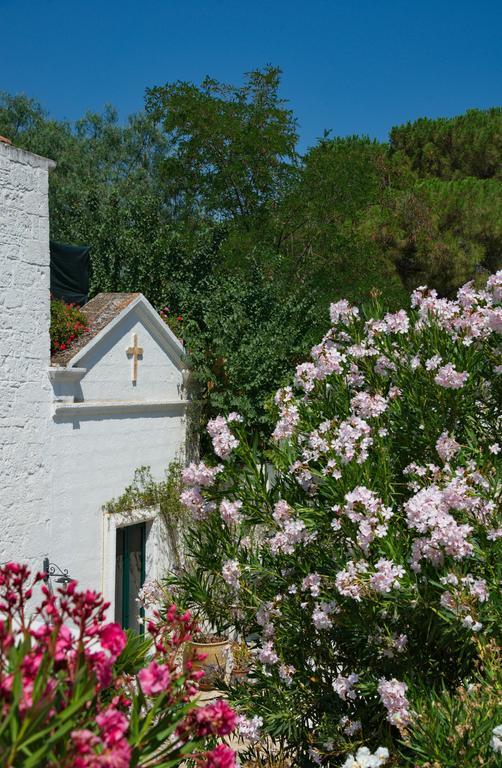 Farm stay Masseria Il Frantoio *